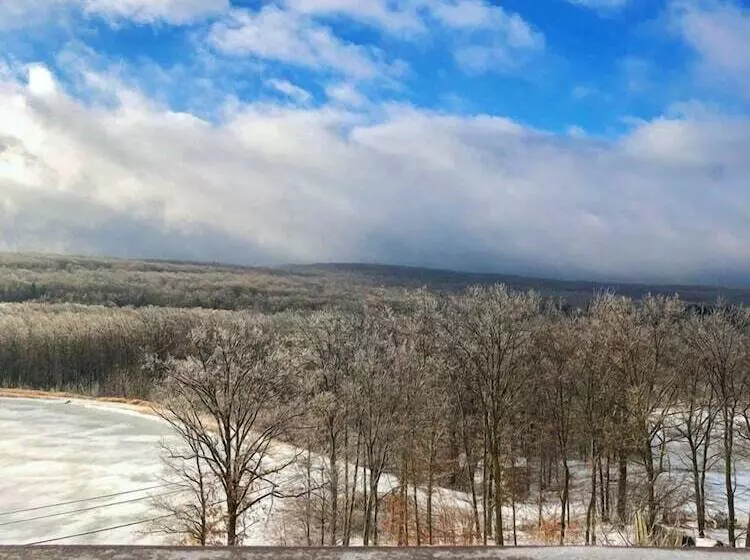 Mountain Laurel Resort