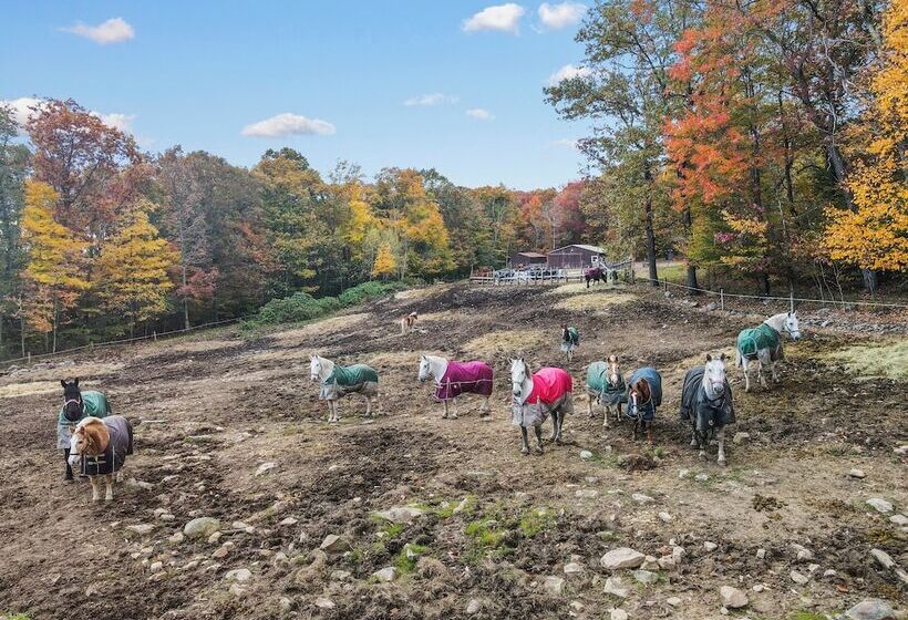 Mountain Laurel Resort