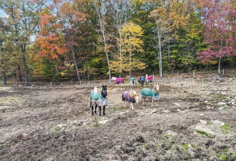 Mountain Laurel Resort