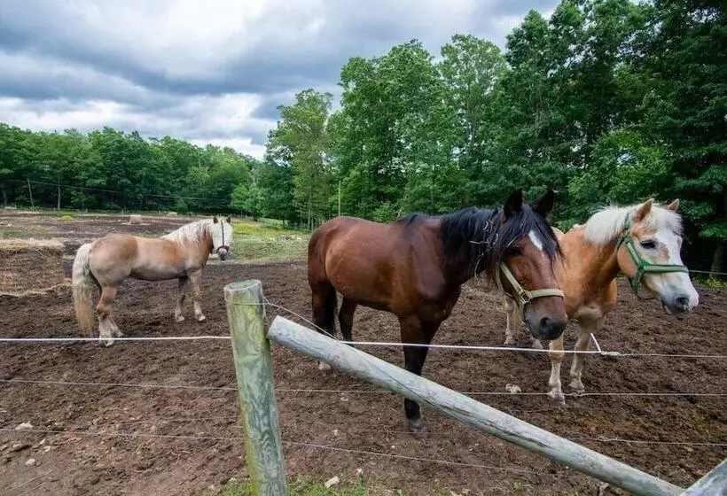 Mountain Laurel Resort