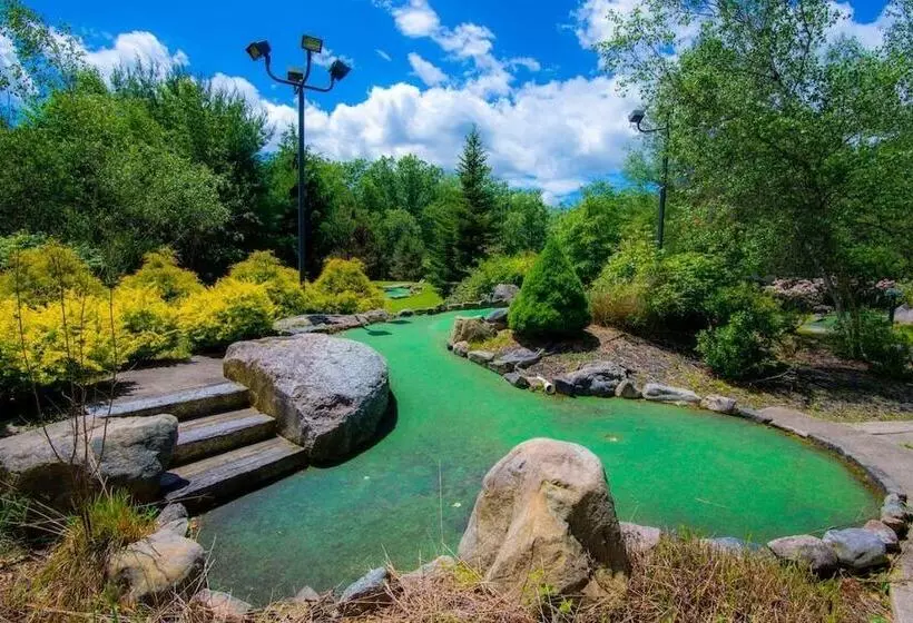 Mountain Laurel Resort