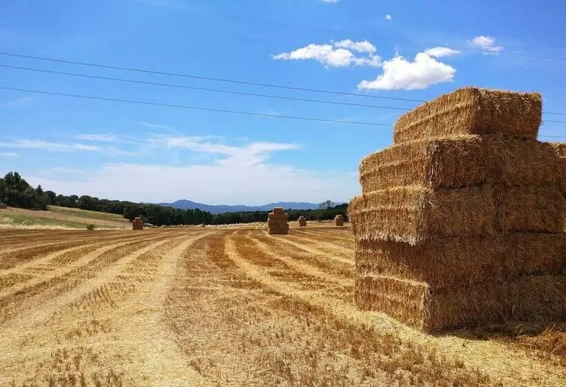 Hotelli Masia Can Bachs