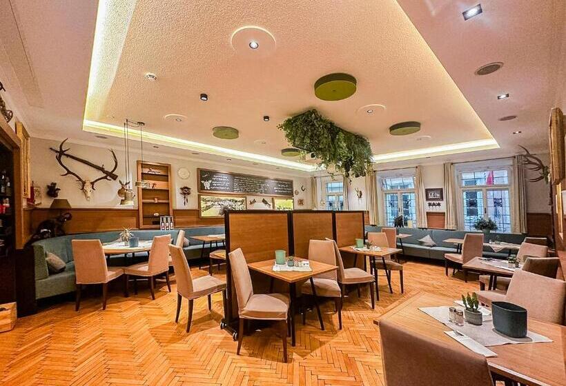 هتل Elefant Family Business