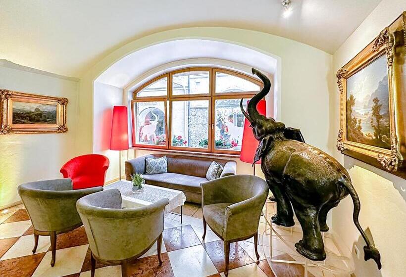 هتل Elefant Family Business