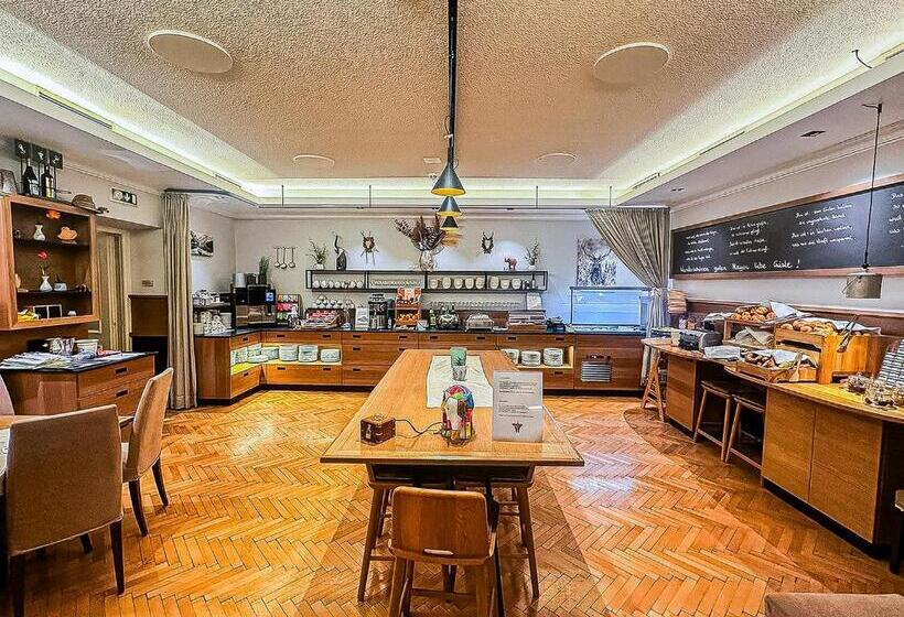 هتل Elefant Family Business