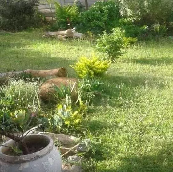پانسیون Gunhill Guest House