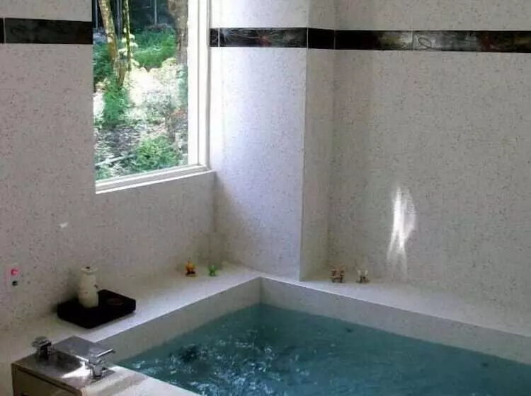 پانسیون The Rippling Vale Masion Of Hot Spring