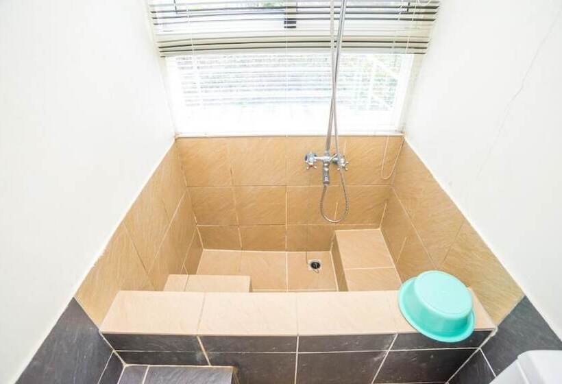 پانسیون The Rippling Vale Masion Of Hot Spring