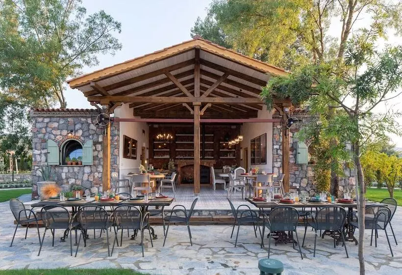 Zigo S Hotel   Special Class