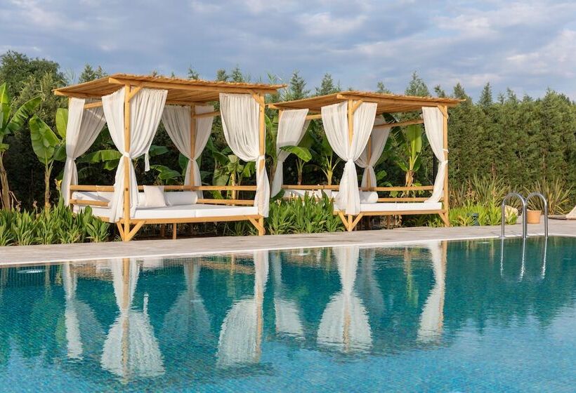 Zigo S Hotel   Special Class