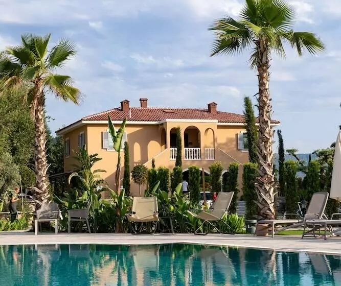 Zigo S Hotel   Special Class