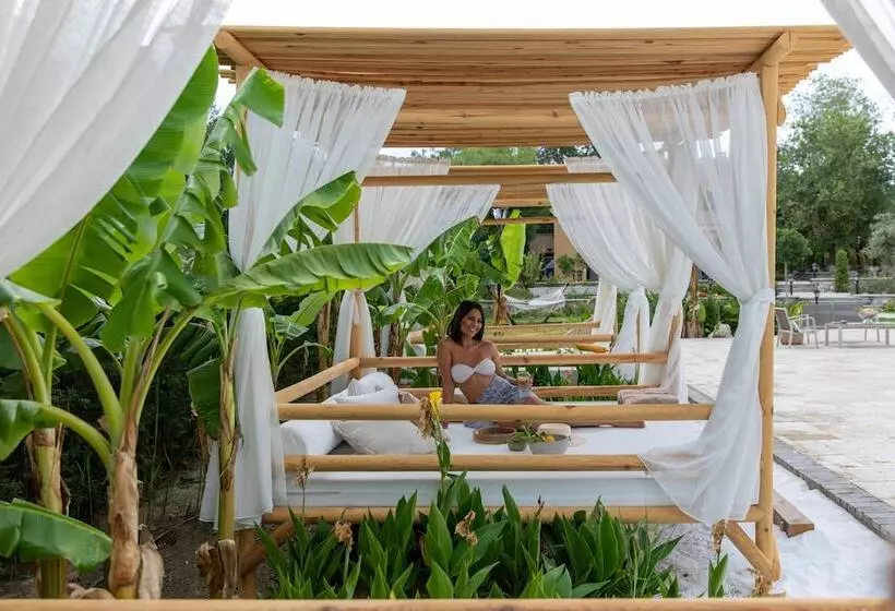 Zigo S Hotel   Special Class