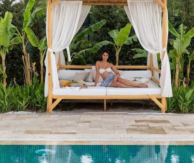 Zigo S Hotel   Special Class