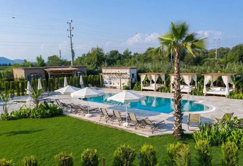 Zigo S Hotel   Special Class