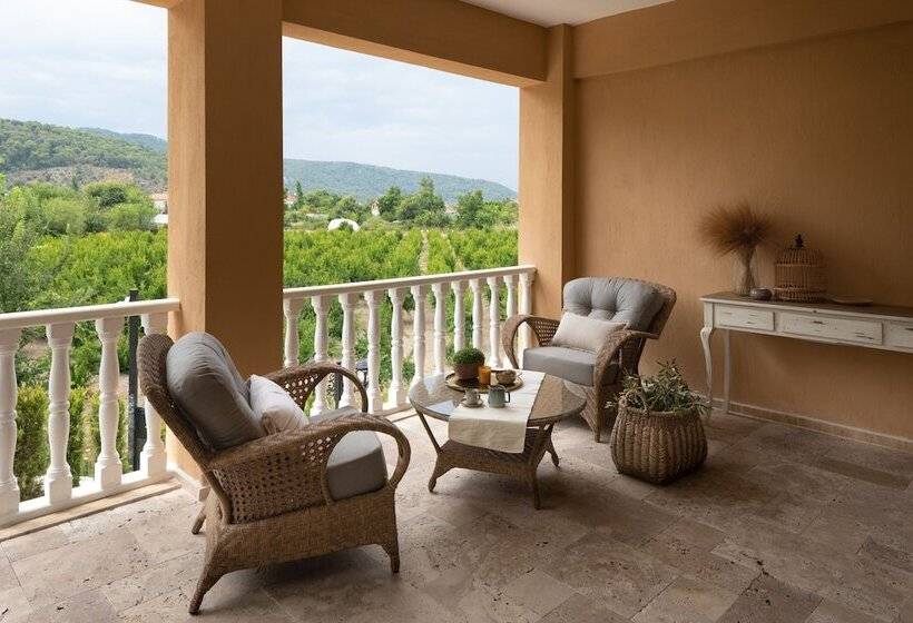 Zigo S Hotel   Special Class