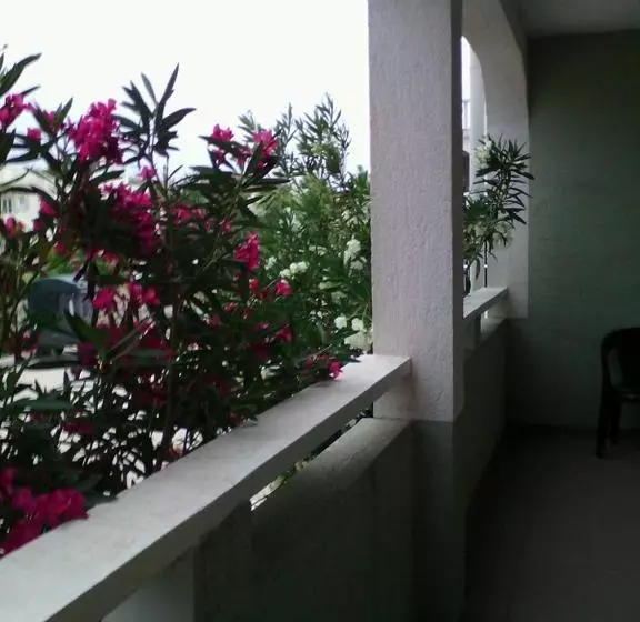 Apartments Igor