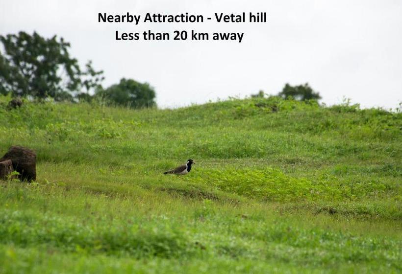 Hotel Silverkey Executive Stays 45761 Kshitij Colony Rd