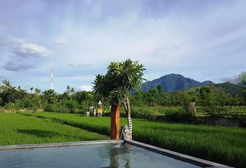 Hotelli Umma Bali Menjangan Retreat