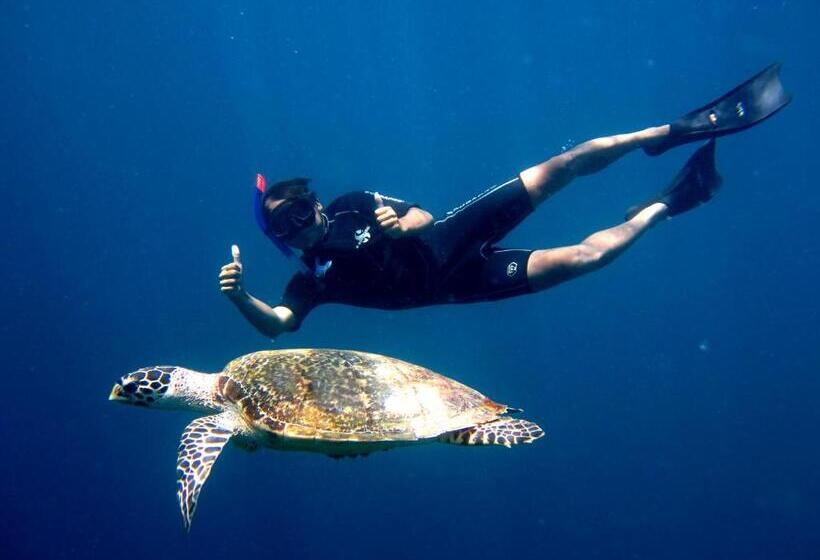 فندق Umma Bali Menjangan Retreat