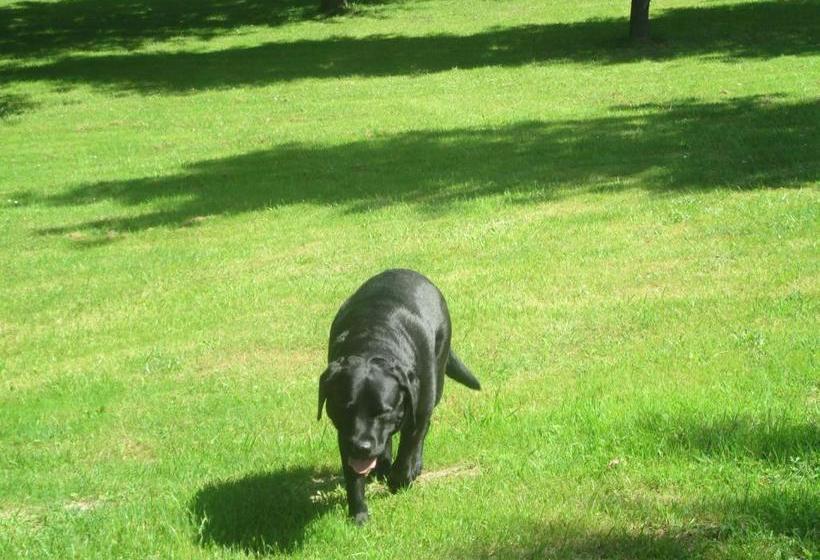 تختخواب و صبحانه Domaine Des Cantiques