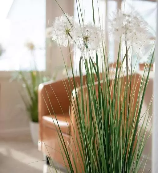 Hotel Angermeier Garni