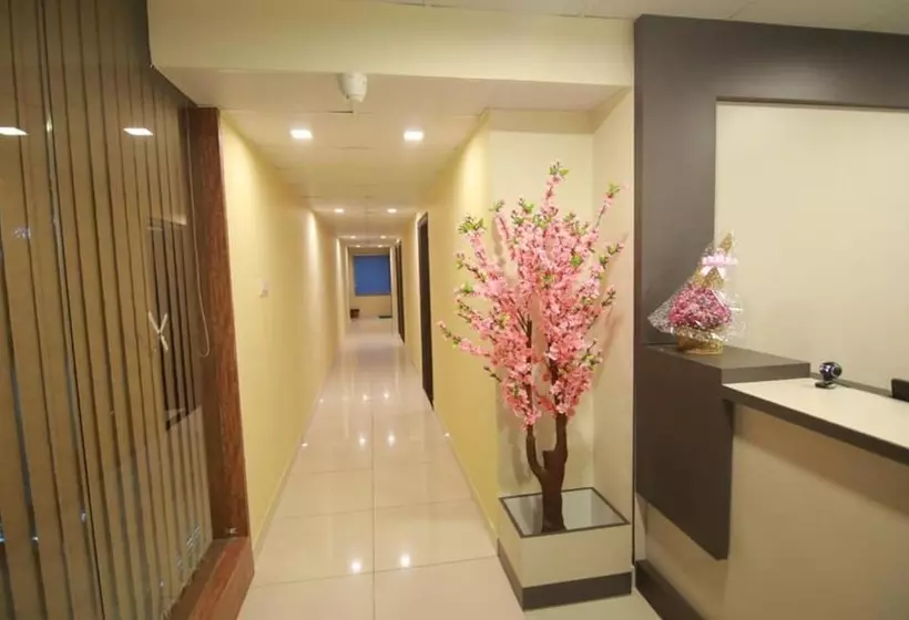 ホテル New Light Executive Rooms