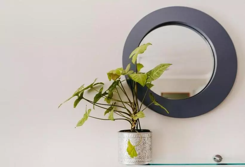 Majatalo The Bethesda