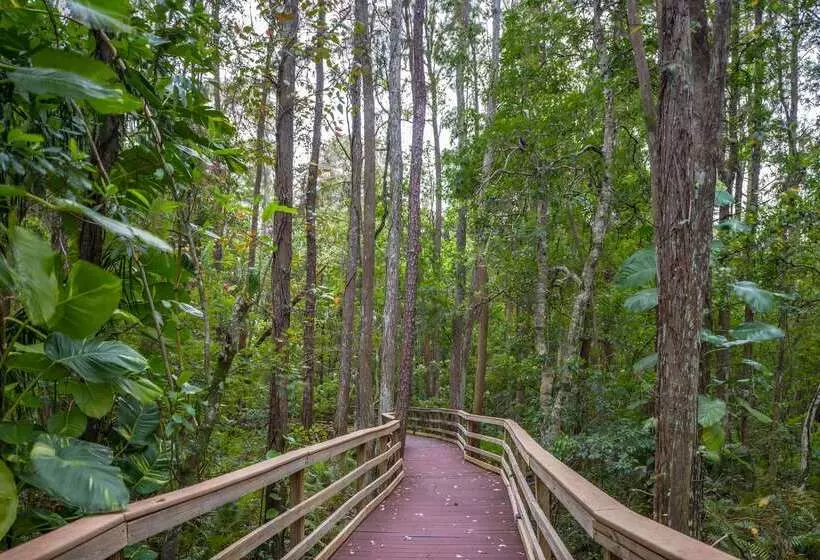 ホテル Parkway International Resort