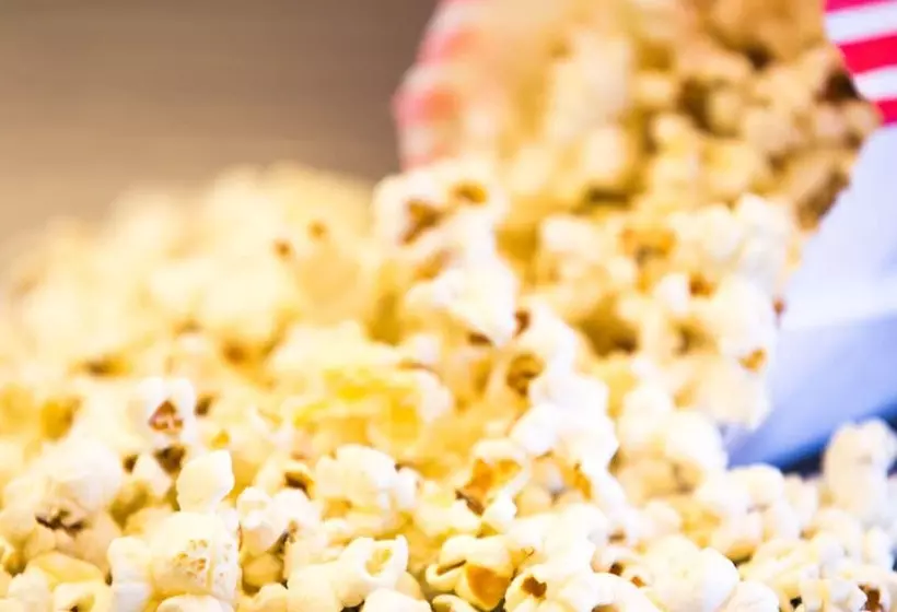 هتل Pear Tree Inn Cape Girardeau Medical Center