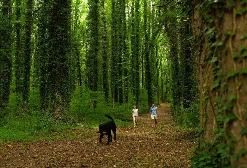 Hotel Prospect Hill Inn & Restaurant