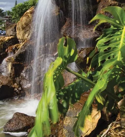 هتل Club Wyndham Ka ‘eo Kai