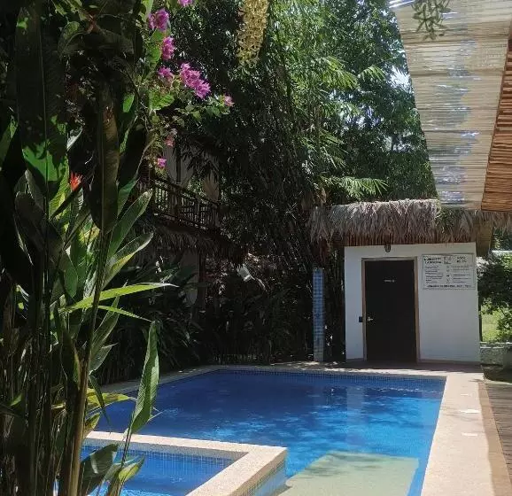 Black Bamboo B&b