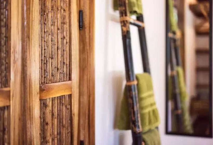 Black Bamboo B&b