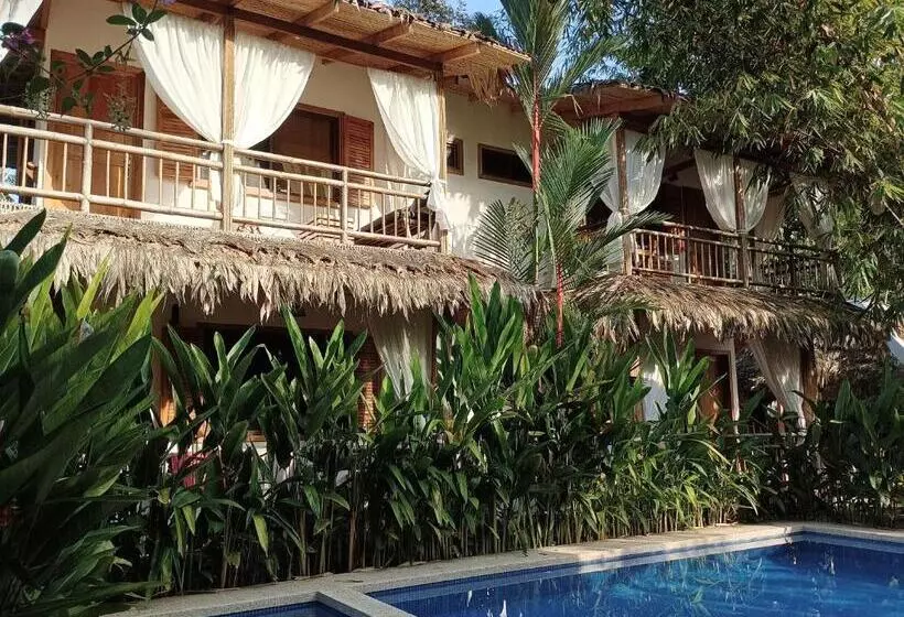 Black Bamboo B&b