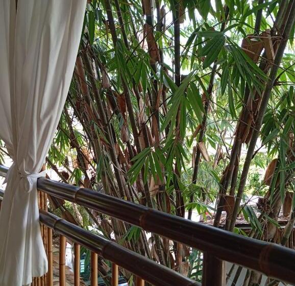 Black Bamboo B&b