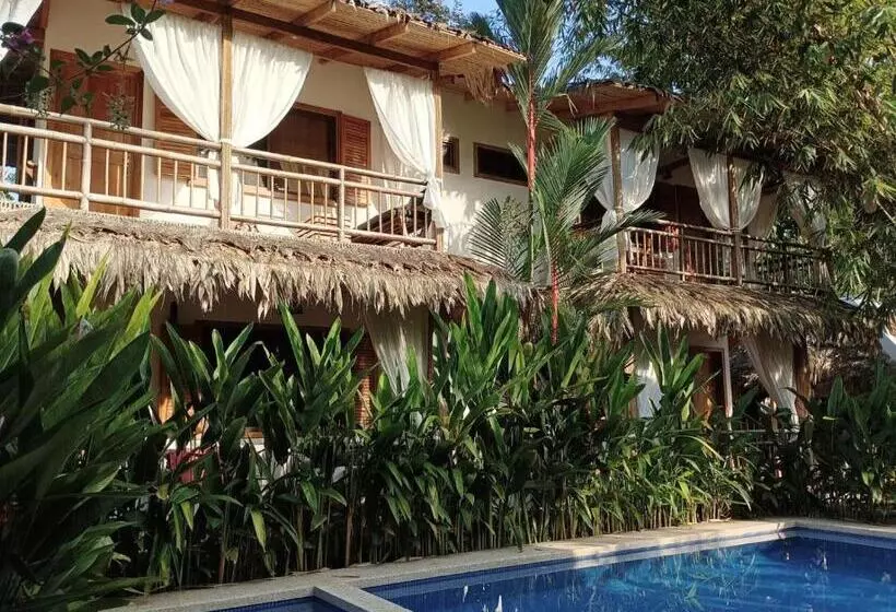 Black Bamboo B&b
