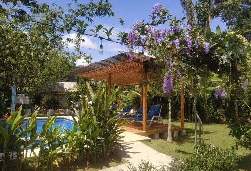 Black Bamboo B&b