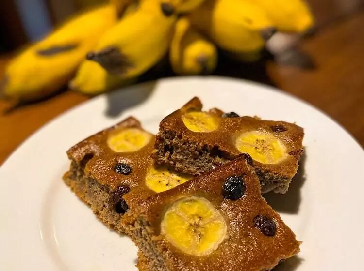 ユースホステル E Pousada Tetiaroa