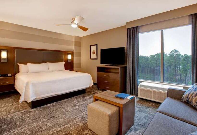 فندق Homewood Suites By Hilton Summerville