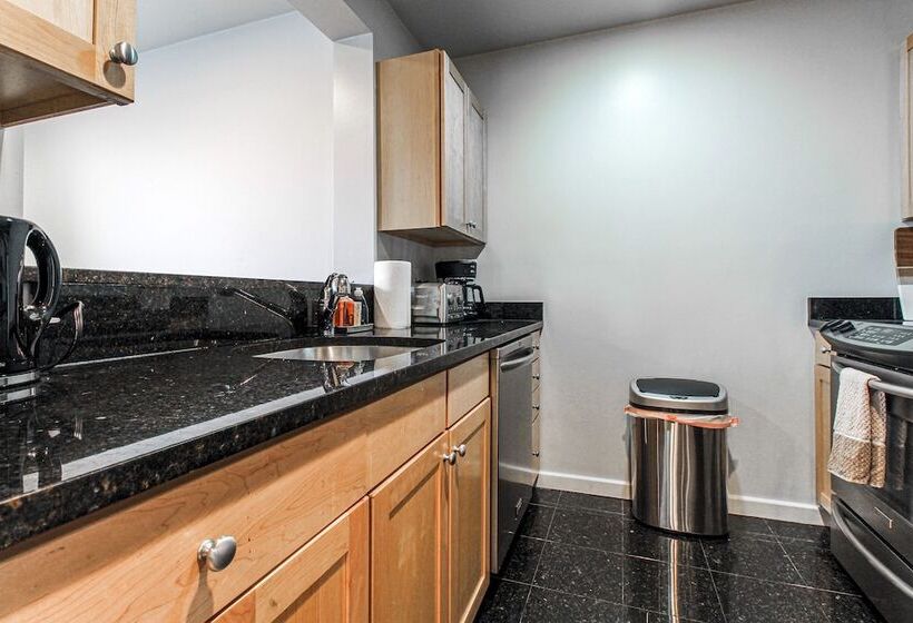 Luxury & Stylish 1br/1ba In Boston South End Bu Medical