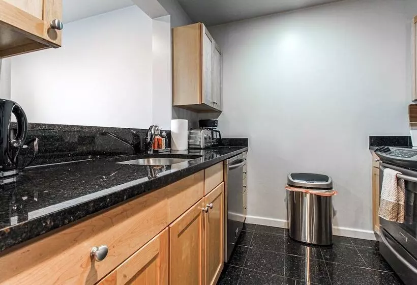 Luxury & Stylish 1br/1ba In Boston South End   Bu Medical