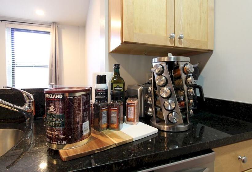 Luxury & Stylish 1br/1ba In Boston South End Bu Medical