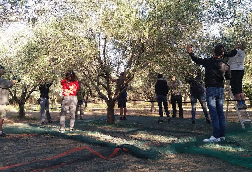 Au Jardin De La Ferme