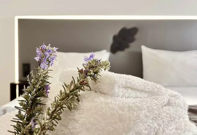 ベッドアンドブレックファースト Bhdouro