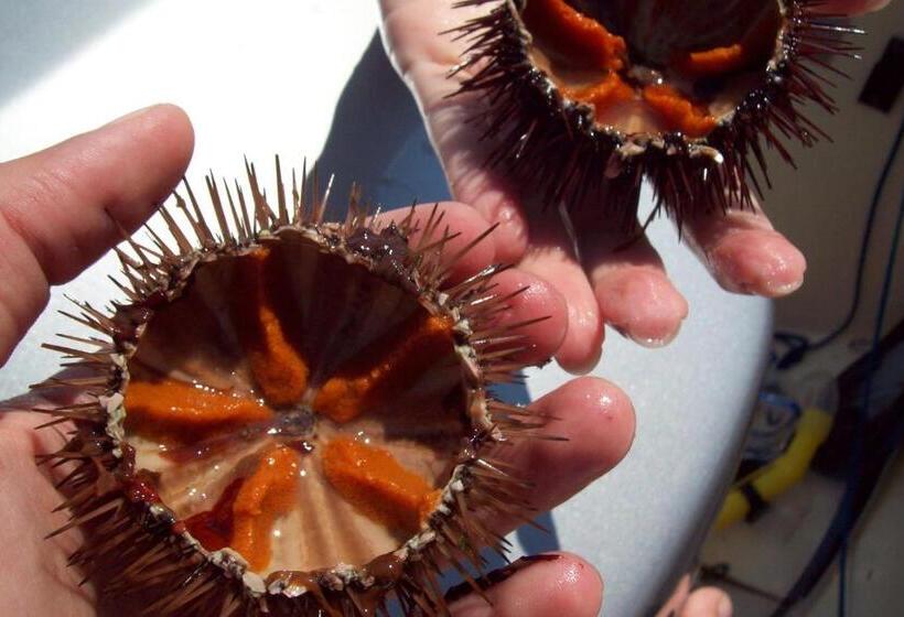 مبيت وإفطار La Terrazza Sul Mar Mediterraneo