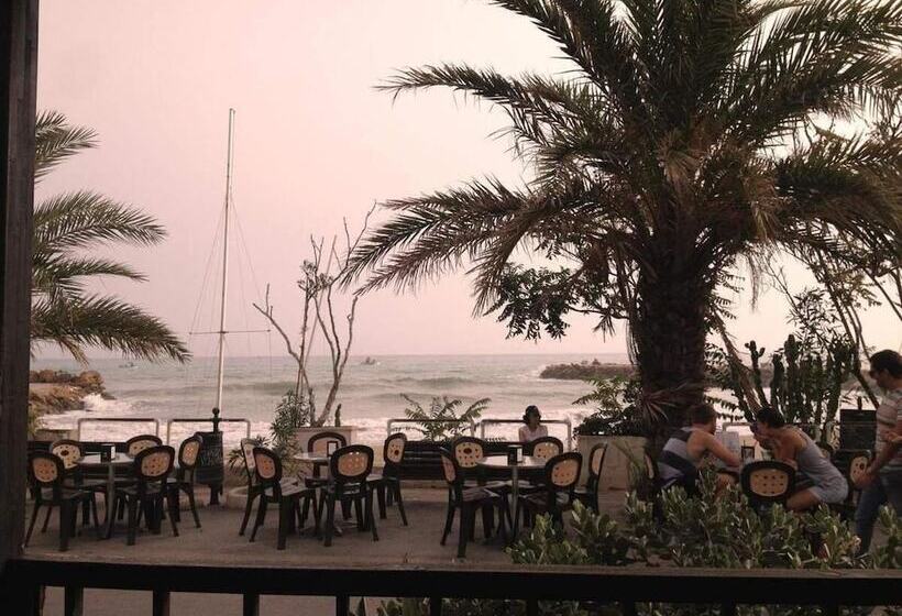 مبيت وإفطار La Terrazza Sul Mar Mediterraneo