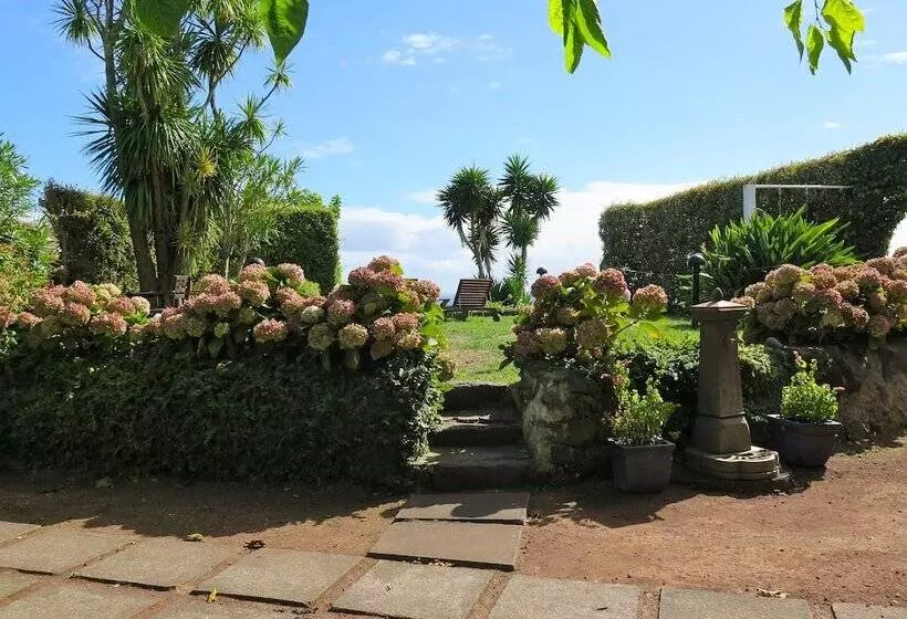 Aamiaismajoitus (B&B) Quinta Das Buganvílias