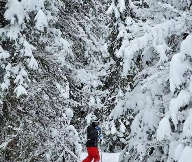 ホテル Nordic Lapland Resort