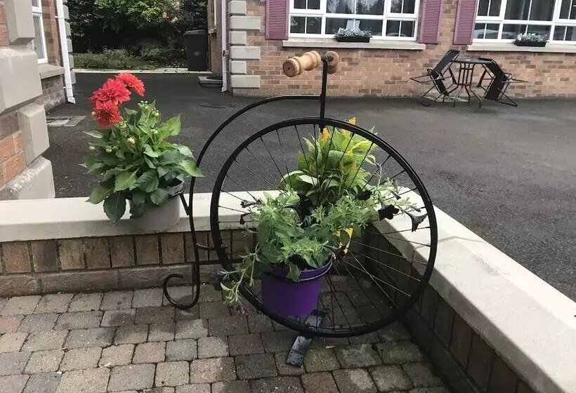 پانسیون Killead House