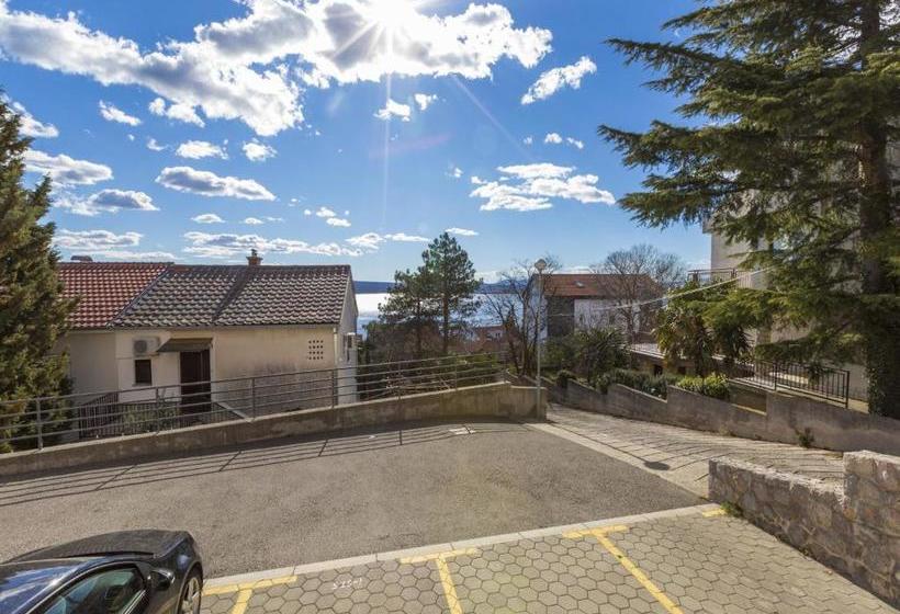 Apartment Color Green